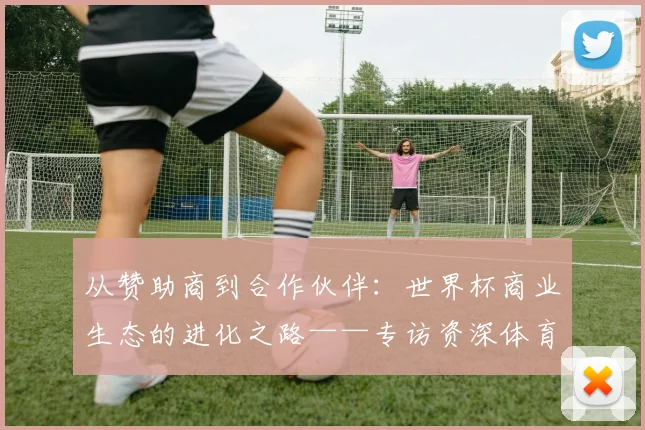从赞助商到合作伙伴：世界杯商业生态的进化之路——专访资深体育营销人