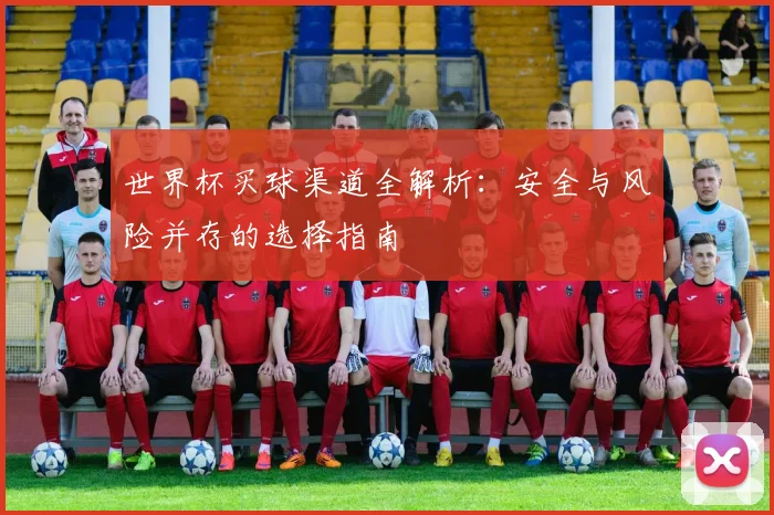 世界杯买球渠道全解析:安全与风险并存的选择指南