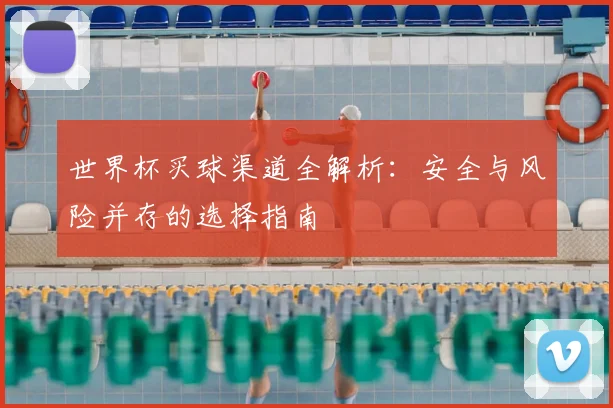 世界杯买球渠道全解析:安全与风险并存的选择指南