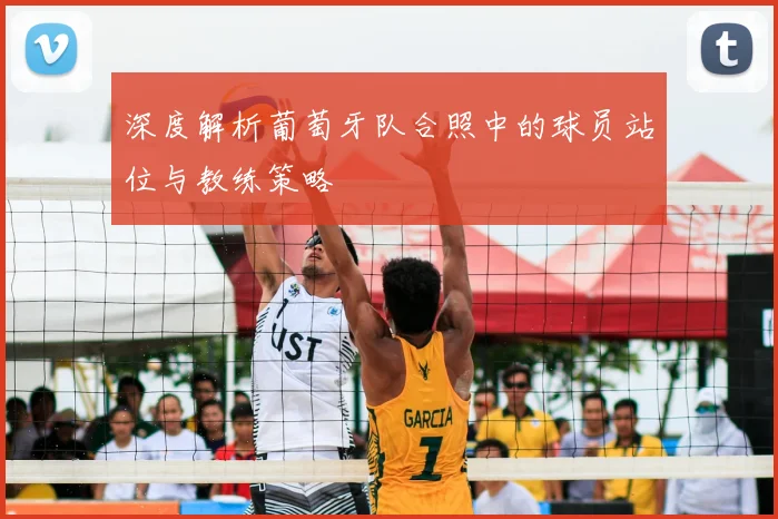 深度解析葡萄牙队合照中的球员站位与教练策略