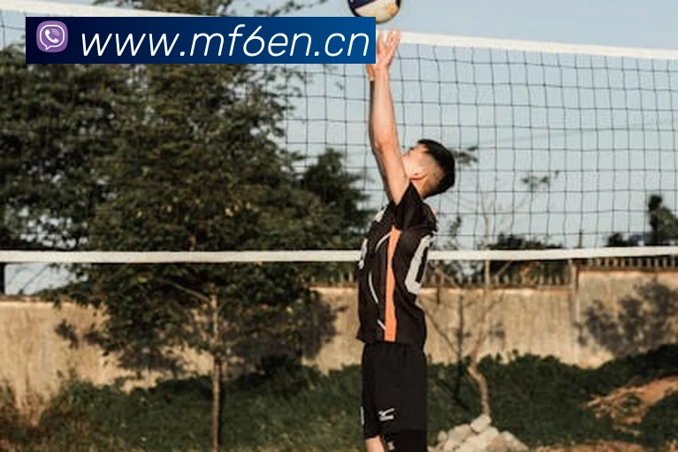 leyu乐鱼APP 封面图